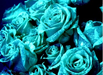 Фиолетовый люминофор тат 33 с голубым свечением